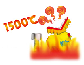 nedzigon1